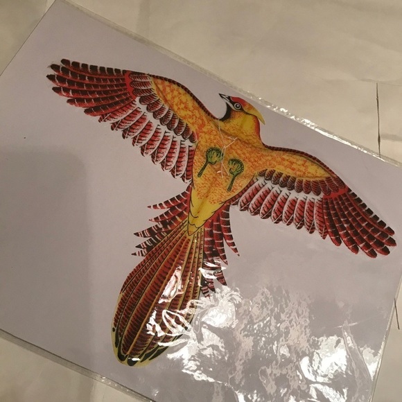 🔥 ON SALE 🔥 💖 Chinese Handmade Kite without spool - Picture 5 of 5